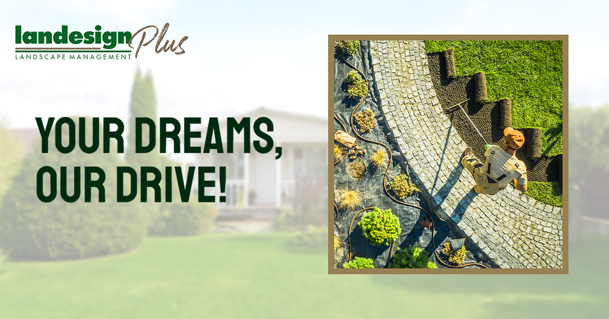 Landesign Plus - Your dreams our drive!